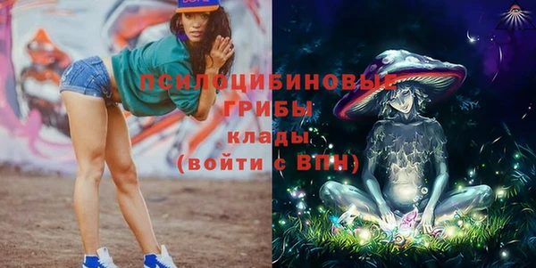 таблы Дмитровск