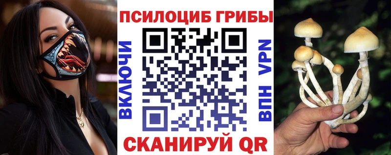 Галлюциногенные грибы Psilocybe  Купить  Тулун 